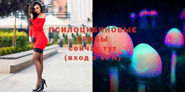 MESCALINE Верхний Тагил